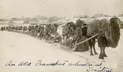 American Relief Administration (ARA) Transport column on the frozen Volga River at Tsaritsyn (Volgograd) in the early 1920s.