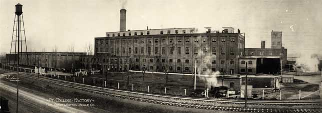 Great Western Sugar Beet Factory Fort Collins, Colorado. Source: CSU Libraries Archives & Special Collections
