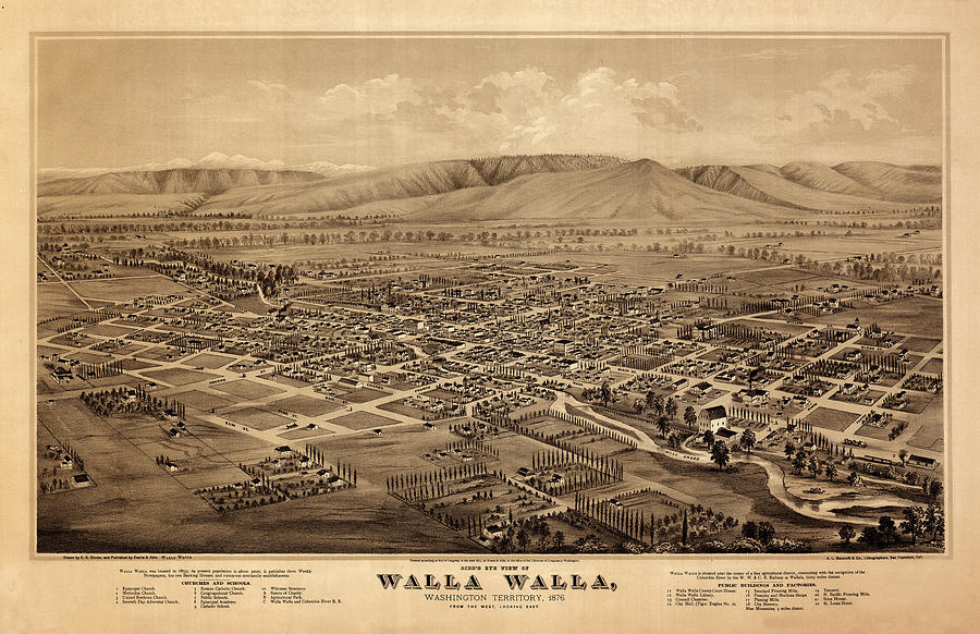 Map of Walla Walla in 1876.