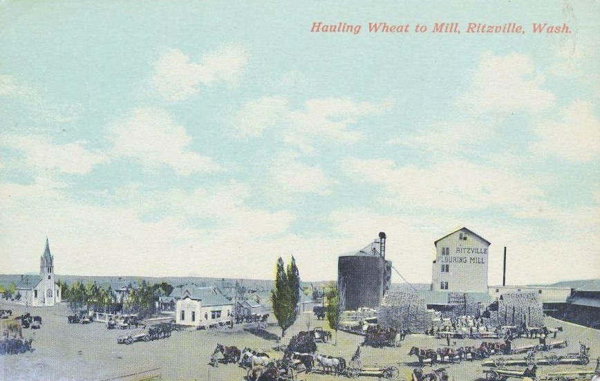 Wheat hauling (ca.1910) Ritzville, Washington Source: Wikipedia.