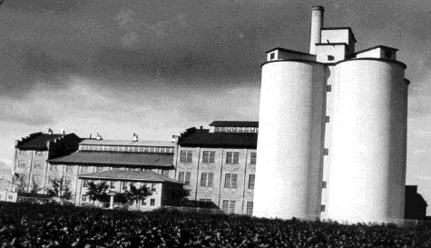 Holly Sugarbeet Factory Sidney, Montana (1930s). Source: Judy A. Remmick-Hubert.