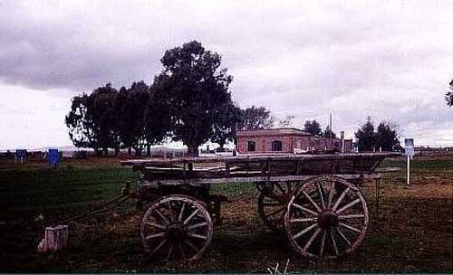 A Volga German type wagon in Santa Rosa. Source: Jorgelina Walter.