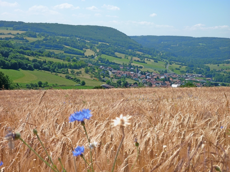 View of Sinntal-Oberzell. Source: Sinntal-Oberzell website (9 June 2022).
