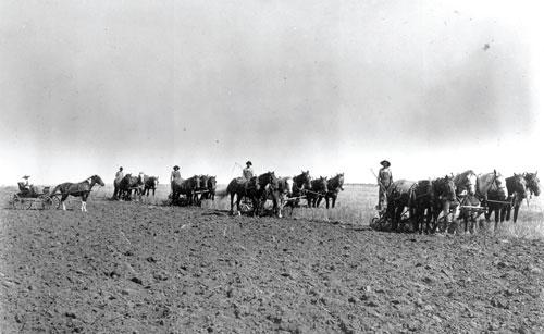 Anschutz Kansas farm (1910).