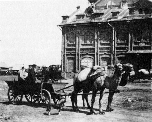 A camel drawn wagon in Seelmann.