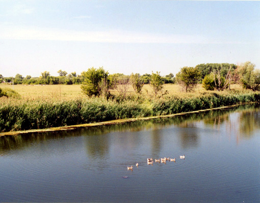 Karamysh River on the eastern edge of the Norka colony. Courtesy of Steve Schreiber.