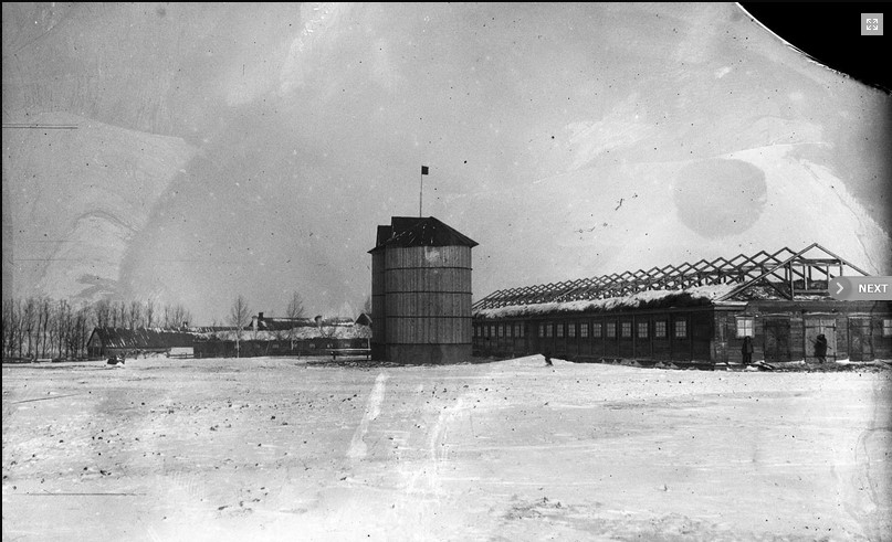 Dairy barn on the Neu-Hussenbach collective farm (1931). Source: RGAKFD collections, Krasnogorsk, Russia.