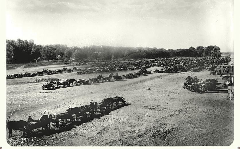 Grain "trains" near Seelmann (1894).