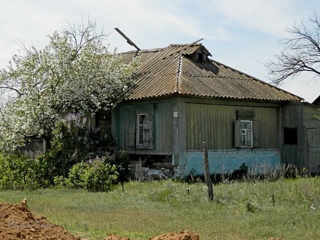 A house in Unterdorf. Source: Maria Flegler Laufler.